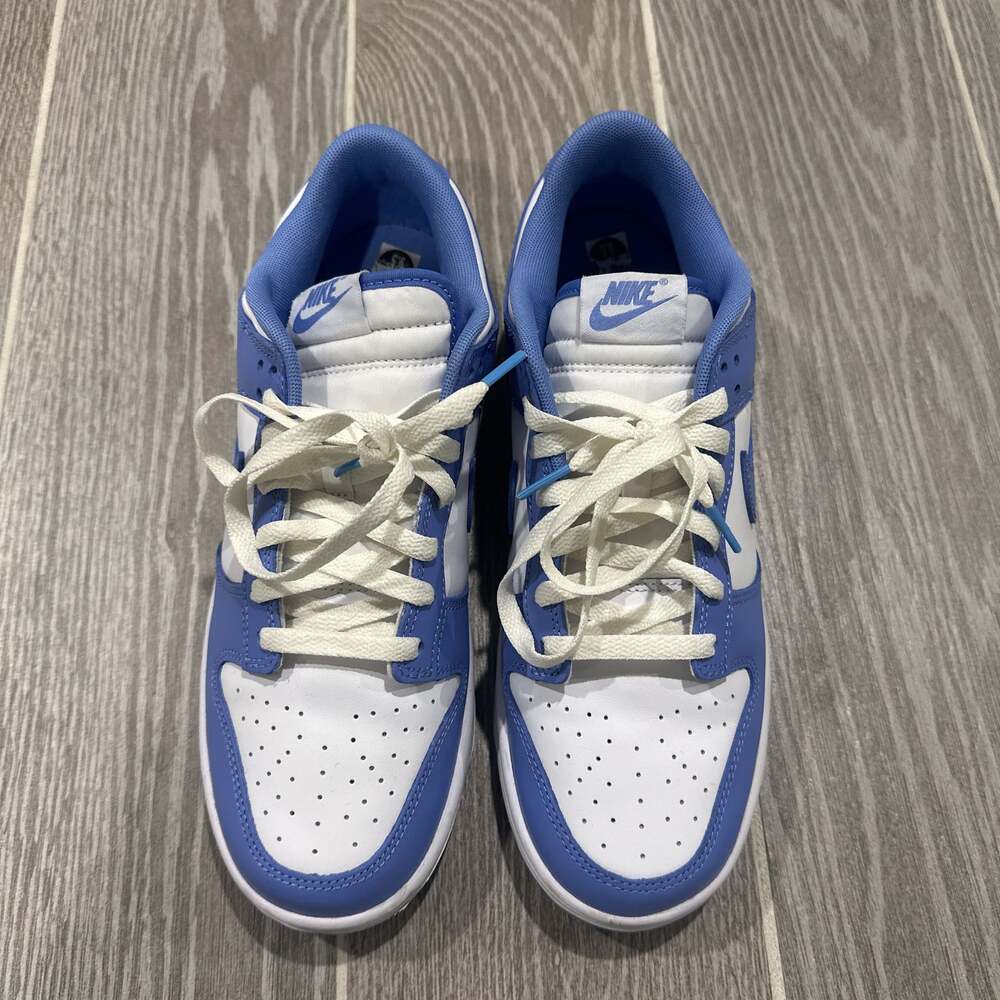 Nike Dunk Low Retro Polar Blue White DV0833-400